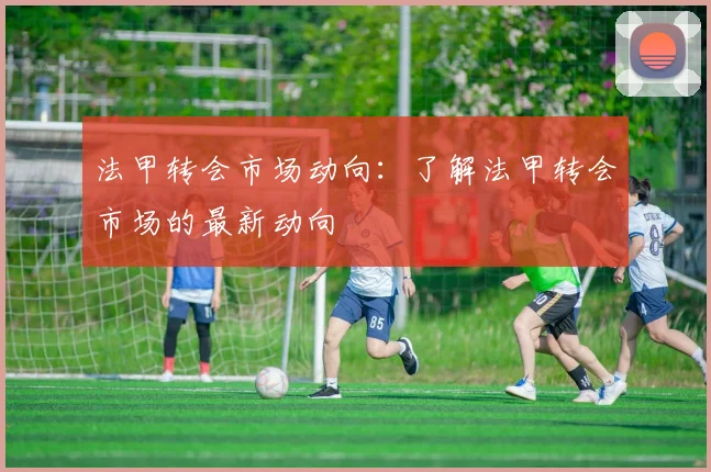 法甲转会市场动向：了解法甲转会市场的最新动向